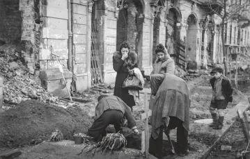 Ekshumacja przy ulicy Wspólnej w dzielnicy Śródmieście, 1945 r. / STANISŁAW URBANOWICZ / PAP